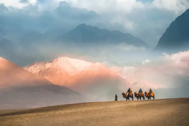 Nubra Valley